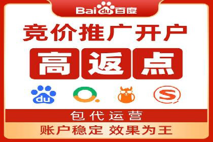百度竞价运营策略：成功案例解析