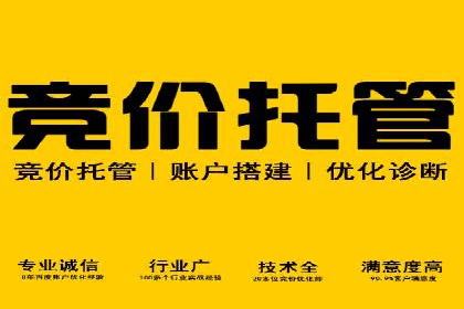 百度推广公司案例分析：精准定位，助力企业精准营销
